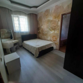 Haus
